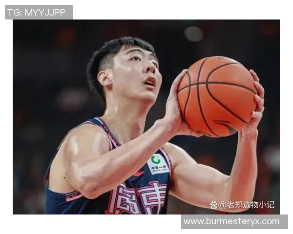 深圳乒乓球队团队协作的独特优势与其他球队的深度对比分析