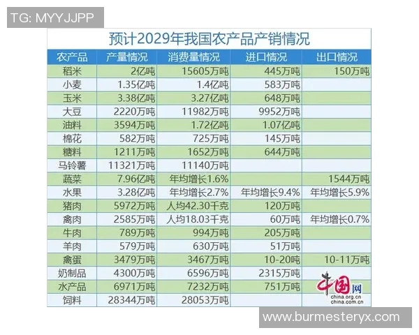北京篮球队近期状态分析与未来发展展望探讨 北京篮球队近期状态分析与未来发展展望探讨