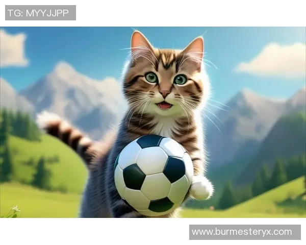 当足球明星与可爱猫咪的奇妙邂逅带来的温馨与欢乐 当足球明星与可爱猫咪的奇妙邂逅带来的温馨与欢乐