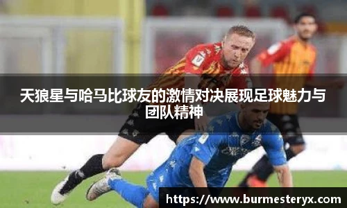 星空体育官方网站